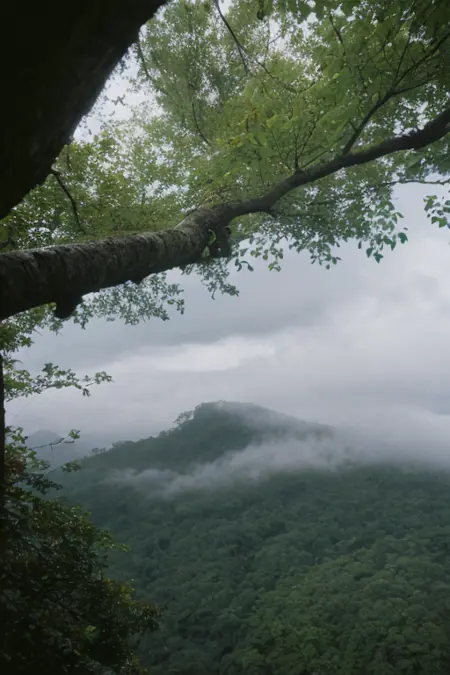 Kodak Ektachrome | Film stock