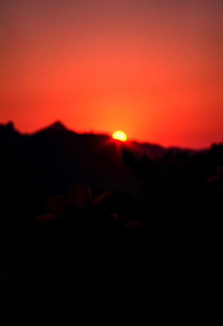 The image is a beautiful sunset with vibrant red flowers in the foreground and a majestic mountain range in the background. highly detailed and hyper realistic photo, by Alena Aenami , by Archibald Thorburn , by Daniele Afferni , in the style of  monochromatic silhouette reflection,  limited dark palette, unusual dark colors, faded colors, atmospheric haze, highly dramatic cinematic lighting, motion blur, film grain,  professional, excellent composition, finest details, maximized details, ultimate detail level, masterpiece, best quality