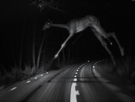 (dark shot:1.4), 80mm, deathia, blurry, a black and white photo of a monster person in the dark, motion blur, thick arms and legs, horror, night, dimmed, lowkey, grain, slenderman near the woods, viewed through the cars window, monster concept art, unknowingly walking over you, night camera, infernal nymph, trail camera,  <lora:deathia_yiu_v10:0.7>, soft light, sharp, exposure blend, medium shot, bokeh, (hdr:1.4), high contrast, (cinematic, teal and orange:0.85), (muted colors, dim colors, soothing tones:1.3), low saturation, (hyperdetailed:1.2), (noir:0.4)