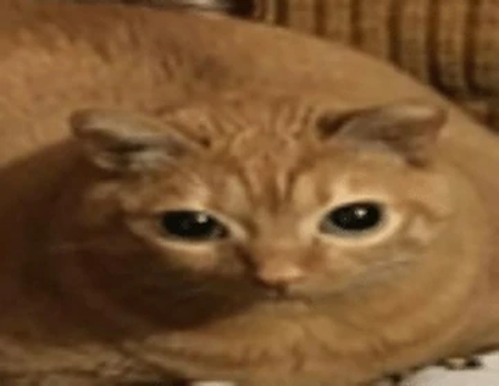 gwagwagwa's Avatar