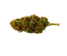 Iskander1's Avatar