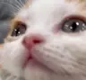 drdown22's Avatar