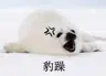 BigFatSeal's Avatar