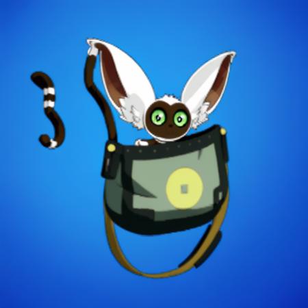 Momo in bag Momo in bag