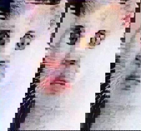 otaviogp58306's Avatar
