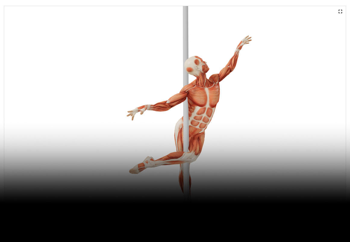 ControlNet Poses References