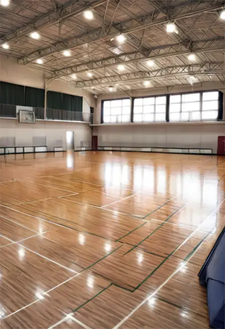 体育館 Japanese school gymnasium SDXL