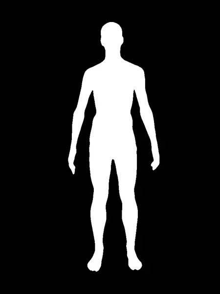 bodym dataset