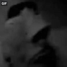 Vidyo's Avatar