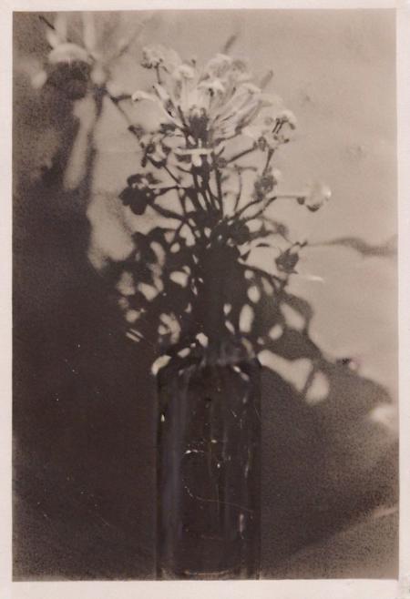 instagram photo,a bottle with a flower,  hard shadows, film grain