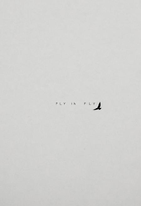 minimalism, bird. a text written ((FLY)) IN CINEMATIC WAY.