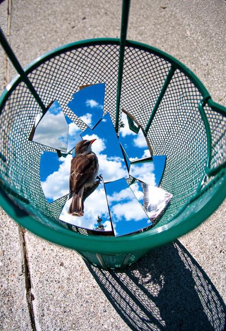 Prompt: A street-level, eye-level shot of a dark green, cylindrical metal mesh trash can sitting on a concrete sidewalk. Inside the trash can, several pieces of a broken mirror reflect a bright blue sky with fluffy white clouds. A small brown sparrow with darker streaks sits perched on the rim of the trash can, looking towards the reflected sky within the mirror shards. The sunlight casts a shadow of the trash can and the bird onto the sidewalk.