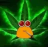 Gus819's Avatar