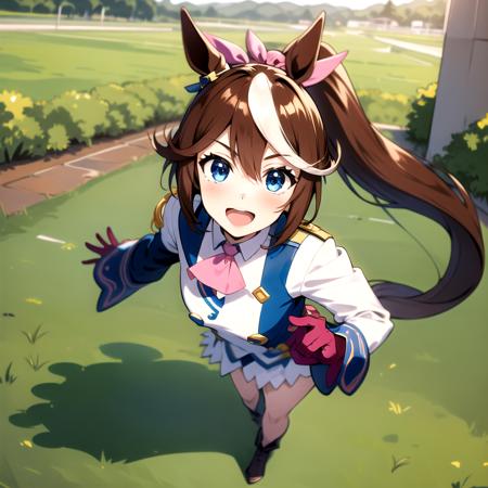 masterpiece, 8k wallpaper, best quality, 1girl, TokaiTeio, <lora:TokaiTeio_V2>, smile, blush, looking at the viewer, grass,  tokai_teio_\(umamusume\), open  mouth,  full body, ponytail,