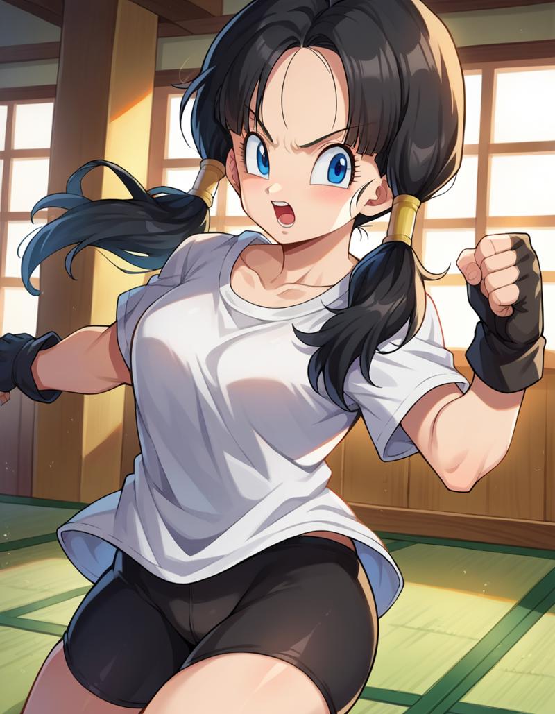 videl-0f154-1251104518.png