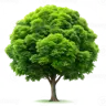 L_O_N_G's Avatar