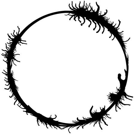 Heptapod B (Arrival)