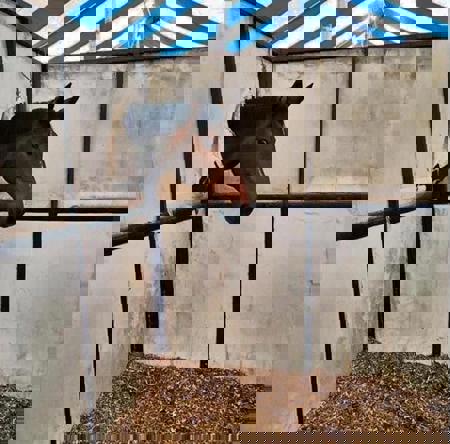 cbrt_cbri's Avatar