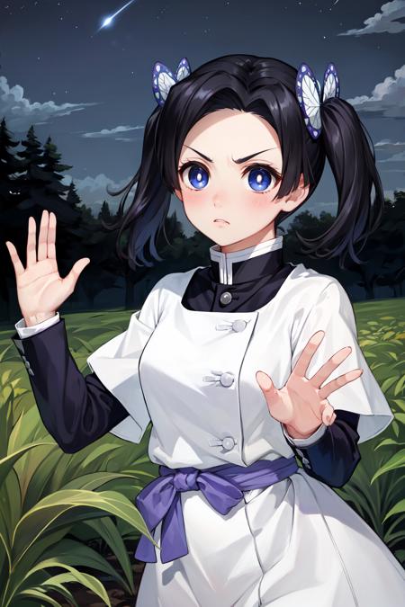 masterpiece, best quality, highres,
AoiDef, 1girl, solo, breasts, blush, short hair, bangs, blue eyes, black hair, hair ornament, twintails, v-shaped eyebrows, parted bangs, frown, bright pupils, white pupils, butterfly hair ornament, kanzaki aoi \(kimetsu no yaiba\),
long sleeves, dress, white dress, jacket, short sleeves, white dress, layered sleeves, short over long sleeves, purple pants, demon slayer uniform, kimetsu no yaiba,
cowboy shot, waving, waving arms, outdoors, forest, field, night, night sky, darkness, starry sky, <lora:LoRA_Aoi:1>