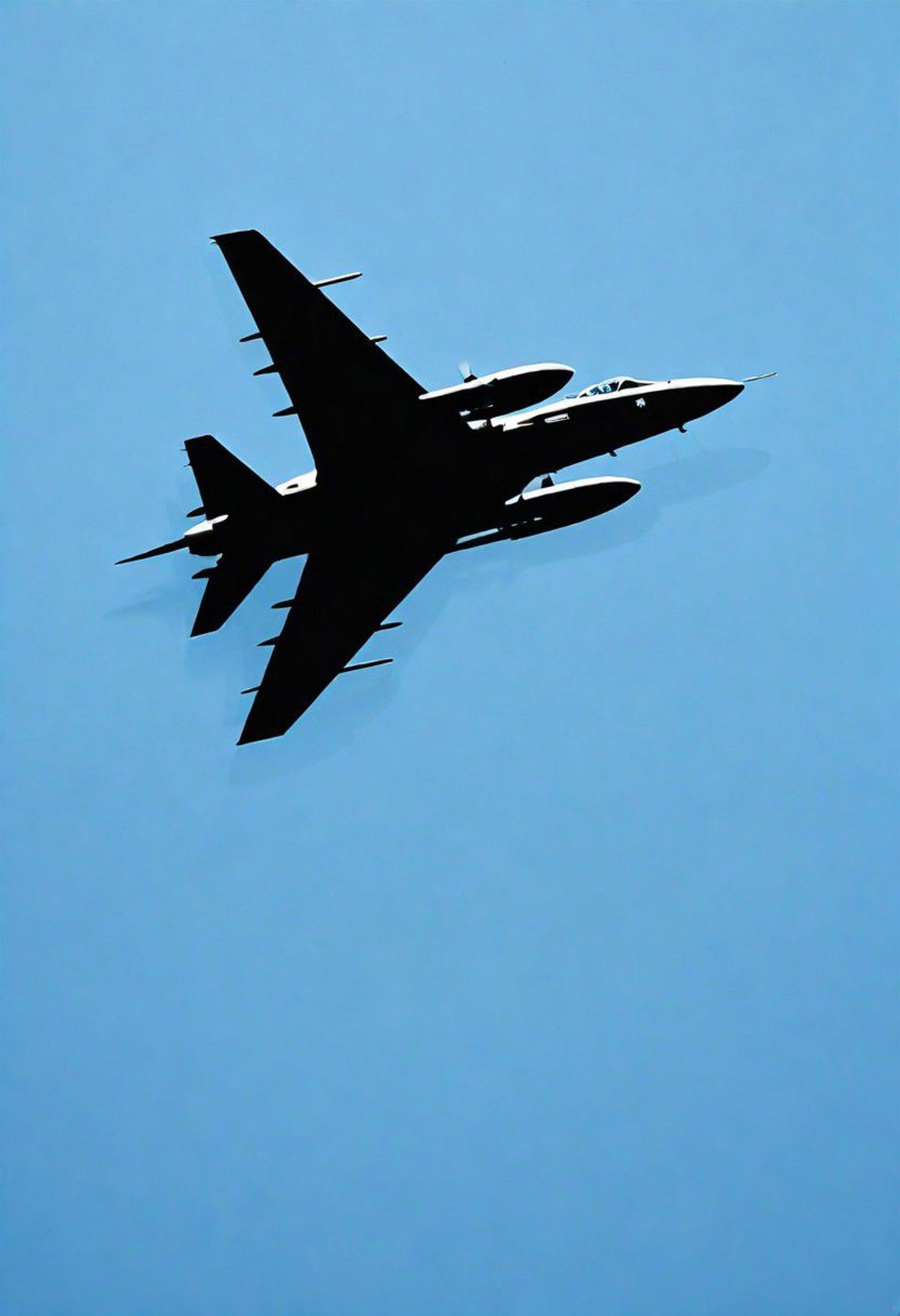 A Jet Airplane Flying High in the Sky