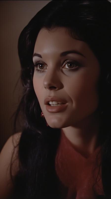 Harriet Karr.safetensors