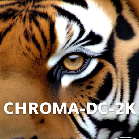 Chroma-Flash-Heun-pruned Rank 16