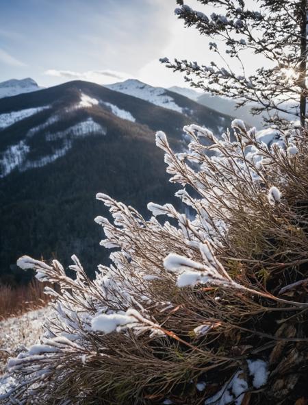 Beautiful fall winter plant life blowing in the wind on the edge of a mountain side forest. Sky is white as it is about to snow in the photo. Branches were moving in a calm soothing way in nature., <lora:add-detail-xl:2>, skin pores, (high detailed skin:1.5), warm atmosphere, looking at viewer, german, germany, big smile, film, film grain, (noir:0.35)