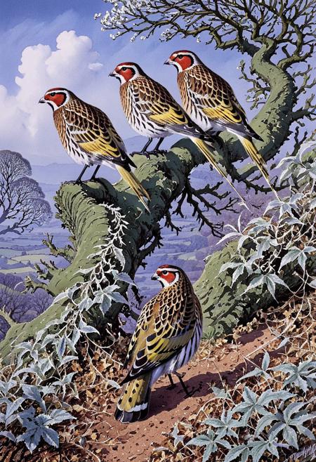 [mgl] Painters 005: Charles Tunnicliffe (birds) V1