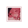 appeal's Avatar