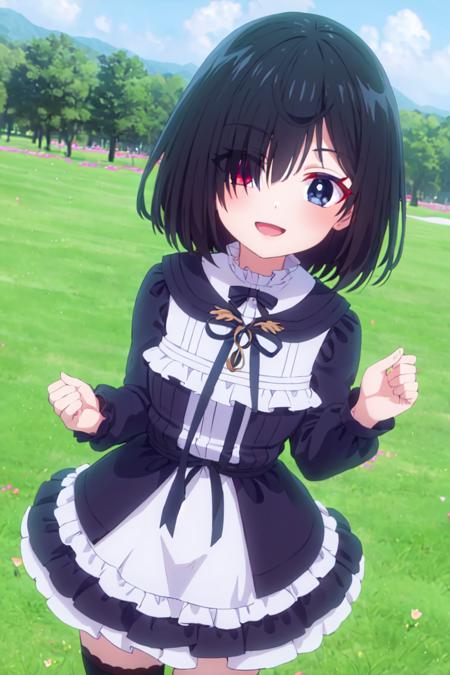 <lora:shiina_tsumugi-10:0.8>, shiina_tsumugi, 1girl, bangs, blue eyes, red eyes, eyes visible through hair, hair between eyes, heterochromia, short hair, black hair, standing, hair over one eye, long sleeves, frilled dress, black dress, black thighhighs, cowboy shot, masterpiece, smile, ((upper body)), outdoors, facing viewer, flower field,