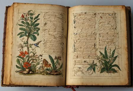 score_9, score_8_up, score_7_up, score_6_up, score_5_up, score_4_up, Book: This is a small book bound in leather with 
parchment pages that are filled with hand written
 notes on all sorts of flora and fauna.  Highly detailed