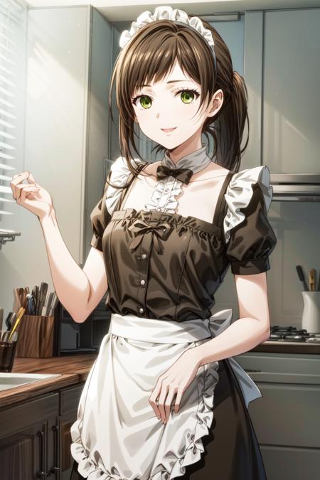 1girl, (masterpiece), (high resolution), (8K), (extremely detailed), (4k), (pixiv), perfect face, nice eyes and face, (best quality), (super detailed), detailed face and eyes, (solo), (textured skin), sakufukuzawa, brown hair, green eyes, ponytail, beach, maid, maid headdress, maid apron, room, smile, standing, garter straps,  <lora:more_details:0.6>, <lora:saku_fukuzawa-10:0.7>