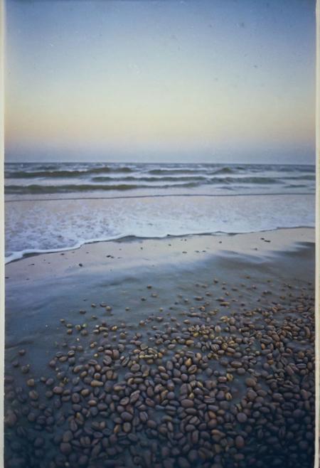soaked_kaffee, a foggy beach at night, hard shadows, film grain