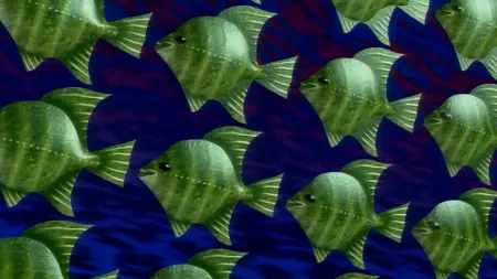 The Vidiot's 1035i Analog HiVision Laser Disc Emulator