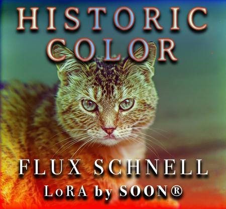 Historic Color Schnell v1.0 ai-toolkit/diffusers