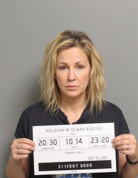 Mugshot - Flux V1