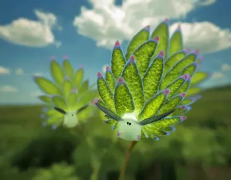 Leaf Sheep (Costasiella kuroshimae) [XL]