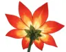 Nyanyang113's Avatar