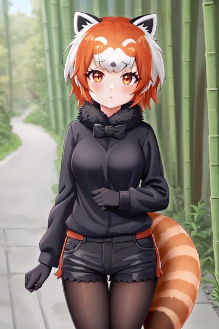 1girl,solo,masterpiece, best quality,high quality,mishoujo,hyper_detail,(game cg), finely detailed beautiful eyes and detailed face,lustrous skin,colorful

((lesser panda \(kemono friends\))),(red panda),red panda tail,animal ears,short hair,(multicolored hair:1.2),orange hair, white hair, black hair,orange eyes, two-tone hair, medium breasts,  (raccoon tail), (orange_tail:1.2),(one_tail)

(multicolored clothes:1.2),black shirt, orange shirt, black bow, black bowtie,black shorts,(black gloves),(black pantyhose:1.2),black thighhighs,  long sleeves, fur collar, fur trim, legwear under shorts,tears,black footwear, footwear bow,black fur, 

 <lora:RedpandaKemonofriends_Redpanda:0.7>,looking at viewer, (standing:1.2),(cowboy_shot:1.5),blush,
 
forest,(bamboo_forest:1.3), road,