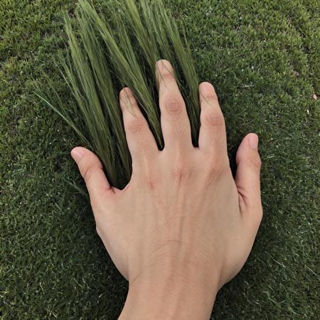 (best quality, masterpiece),  <lora:touch_grass:0.7> touch_grass, outdoor, hand, grass, 5 fingers