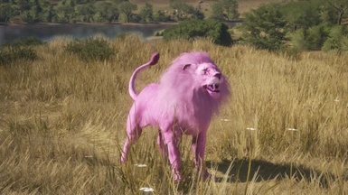 PinkLion's Avatar