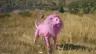 PinkLion's Avatar