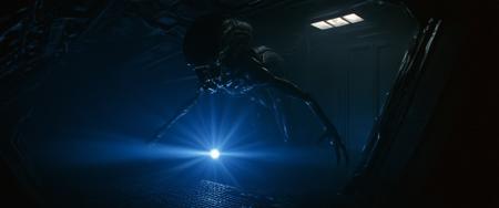 What a thrilling image! Here's a breakdown of your request:  **Image Description:** A dramatic scene from the movie "Alien" (1979) directed by Ridley Scott, featuring Ellen Ripley (played by Sigourney Weaver) in a terrifying encounter with an alien.  **Composition:**  * The framing is focused on Ellen Ripley, played by Sigourney Weaver, who appears frightened and desperate to escape the clutches of the monstrous alien. * The alien looms large above her, its eerie presence casting long shadows across the dark environment. * In the background, you can see the dimly lit corridors or chambers of the spaceship Nostromo, adding to the sense of claustrophobia.  **Visual Elements:**  * Lighting: Harsh, industrial lighting illuminates the scene, emphasizing the cold, metallic surfaces and creating an unsettling ambiance. Shadows dance across the walls as Ripley attempts to flee from the alien. * Colors: Dark blues, greys, and silvers dominate the palette, reflecting the spaceship's industrial environment. The alien's bioluminescent markings glow ominously in contrast. * Composition: Cinematic composition, emphasizing depth by using diagonal lines, framing, and negative space to create an immersive experience.  **Artistic Style:** Dark sci-fi horror, inspired by iconic works like Alien (1979) or Event Horizon (2001), evoking a sense of unease and foreboding. This image would be a haunting addition to any science fiction collection