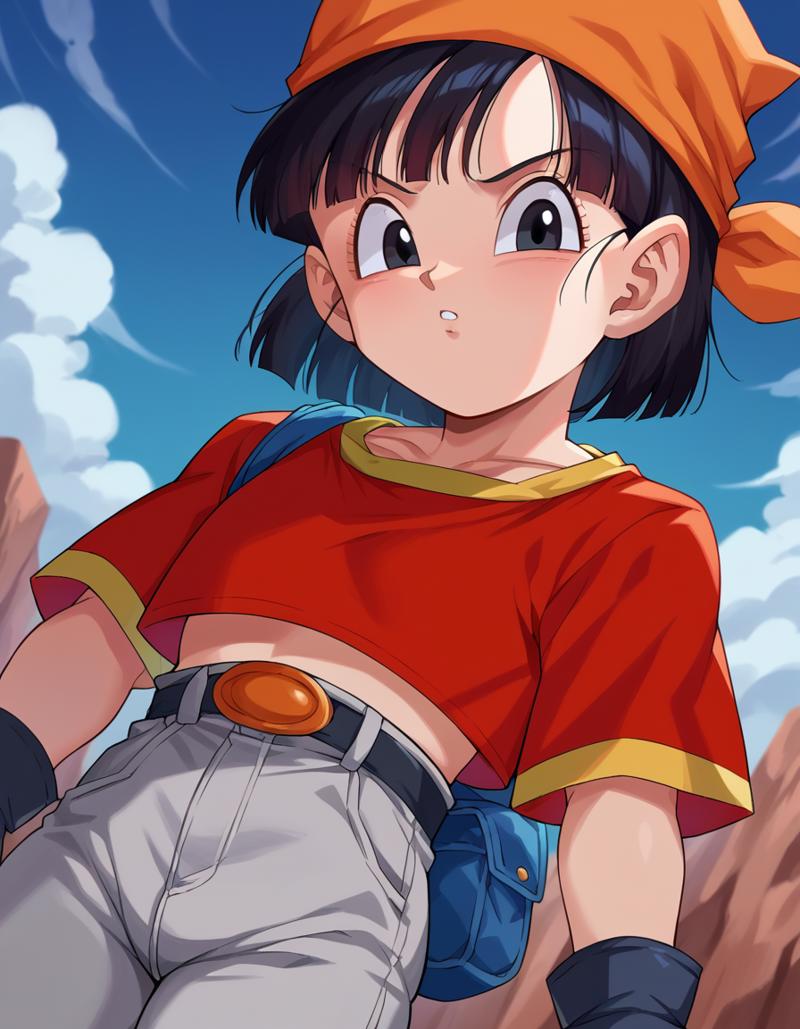 dragonballpan-60eac-3801117177.png