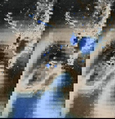 blankstatement's Avatar