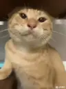 CYkun_AI's Avatar