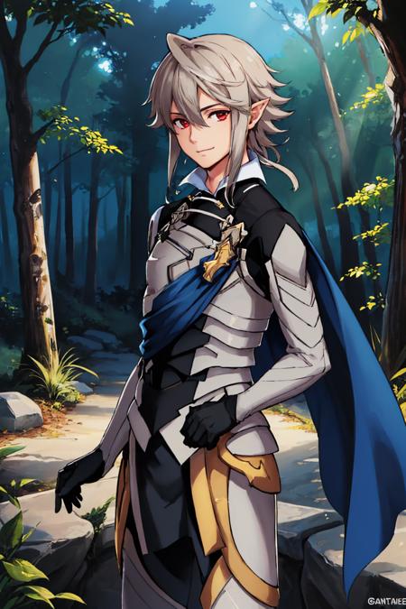 malecorrin, pointy ears armor, cape, gloves