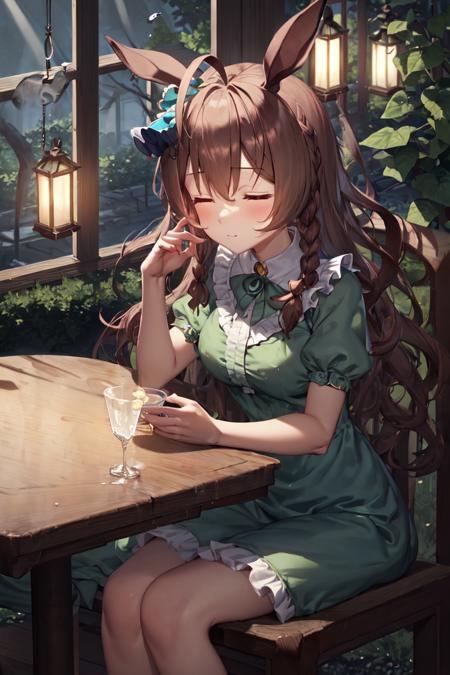 masterpiece, best quality
mejiro bright \(umamusume\),
dark inside, indoors, water drop, windows, lantern, chandelier,
sitting, on chair, table, closed eyes, teecup,
hair bow, casual, frills, green dress, puffy short sleeves
<lora:mejiro_bright_loha:0.7>