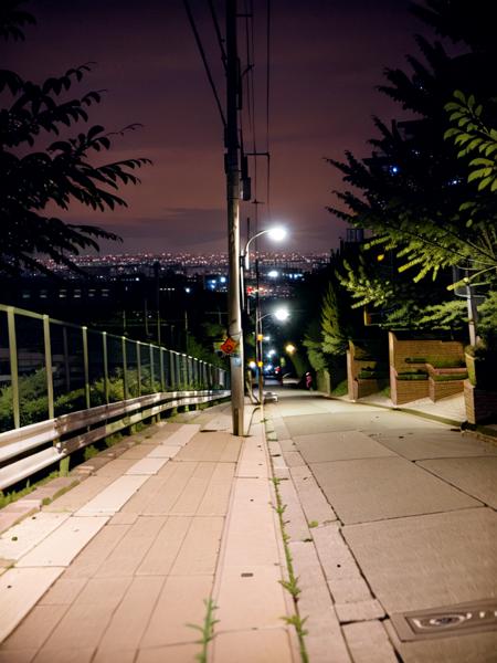 masterpiece, best quality, ultra-detailed, illustration,
haruhizaka, kitakoumae, scenery, night, lamppost, outdoors, tree, road, sky, night sky, city, power lines, building, cityscape, street, sign, dark, guard rail, road sign, ground vehicle, real world location, realistic, 
 <lora:kitakoukou:1>