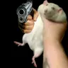 peenusbutter's Avatar